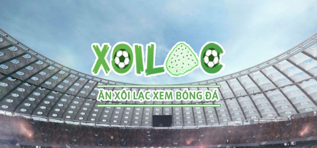 Xoilac TV cũng là nơi thường xuyên cập nhật bảng xếp hạng bóng đá